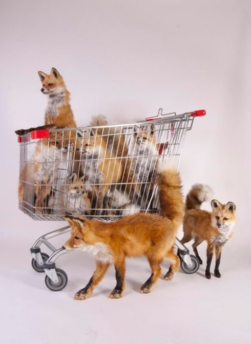 Take the family shopping! (Sculpture installation by Australian artist Rod McRae)